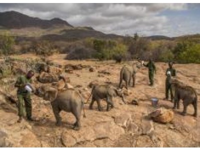 Warriors Who Once Feared Elephants Now Protect Them